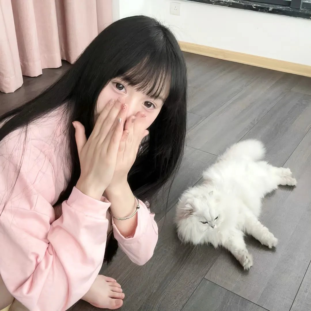 美人局
